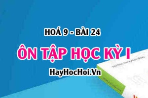 Ôn tập Hoá 9 Học kỳ 1: Sự chuyển đổi hợp chất hữu cơ thành kim loại và kim loại thành hợp chất hữu cơ - Hoá 9 bài 24
